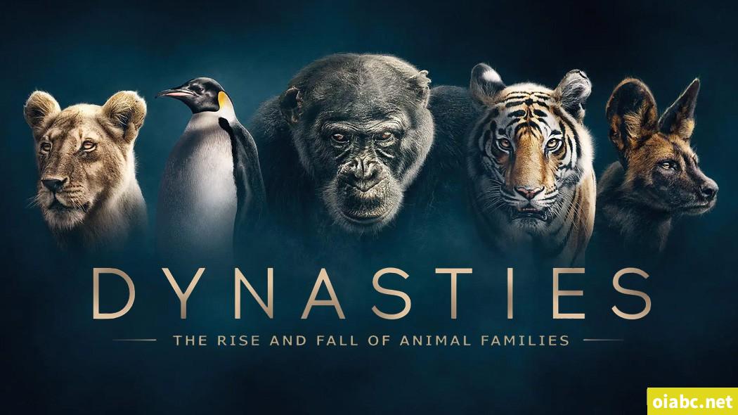 BBC纪录片王朝 Dynasties（2018）英文版全5集中英双字高清1080P网盘下载