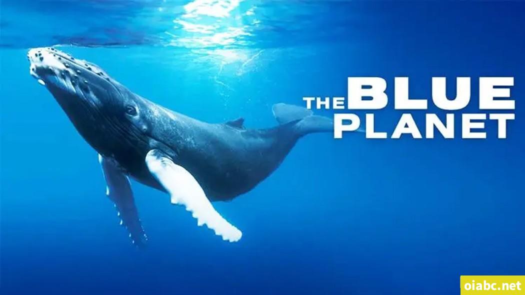 BBC纪录片 蓝色星球 The Blue Planet (2001) 英文版全8集中英字幕高清1080P视频MP4