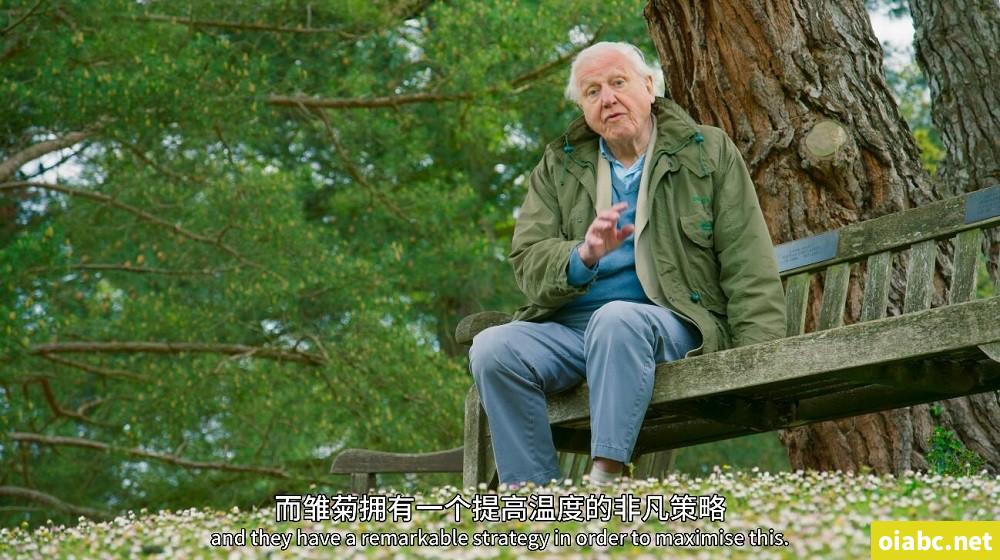 BBC纪录片 绿色星球 The Green Planet (2022) 英文版全5集英语中英字幕4K高清视频MKV