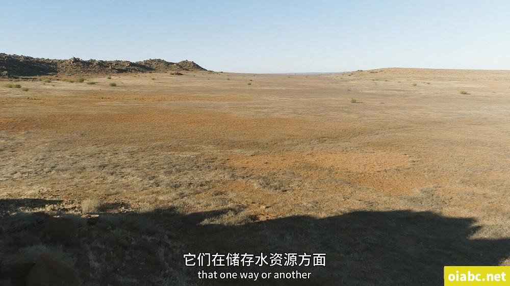 BBC纪录片 绿色星球 The Green Planet (2022) 英文版全5集英语中英字幕4K高清视频MKV