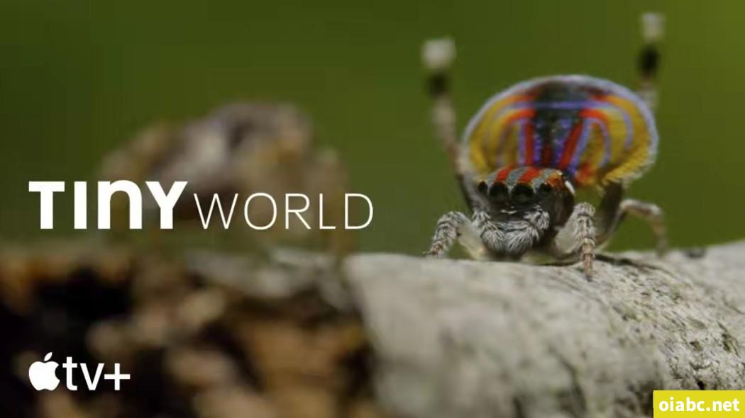 豆瓣9.5，强烈推荐BBC 优质纪录片《小小世界》Tiny World！共2季~ 