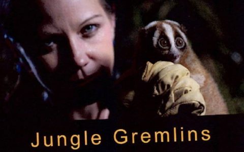 BBC 自然世界: 爪哇丛林精灵 2012 Jungle Gremlins of Java 英语中字高清720P视频MKV
