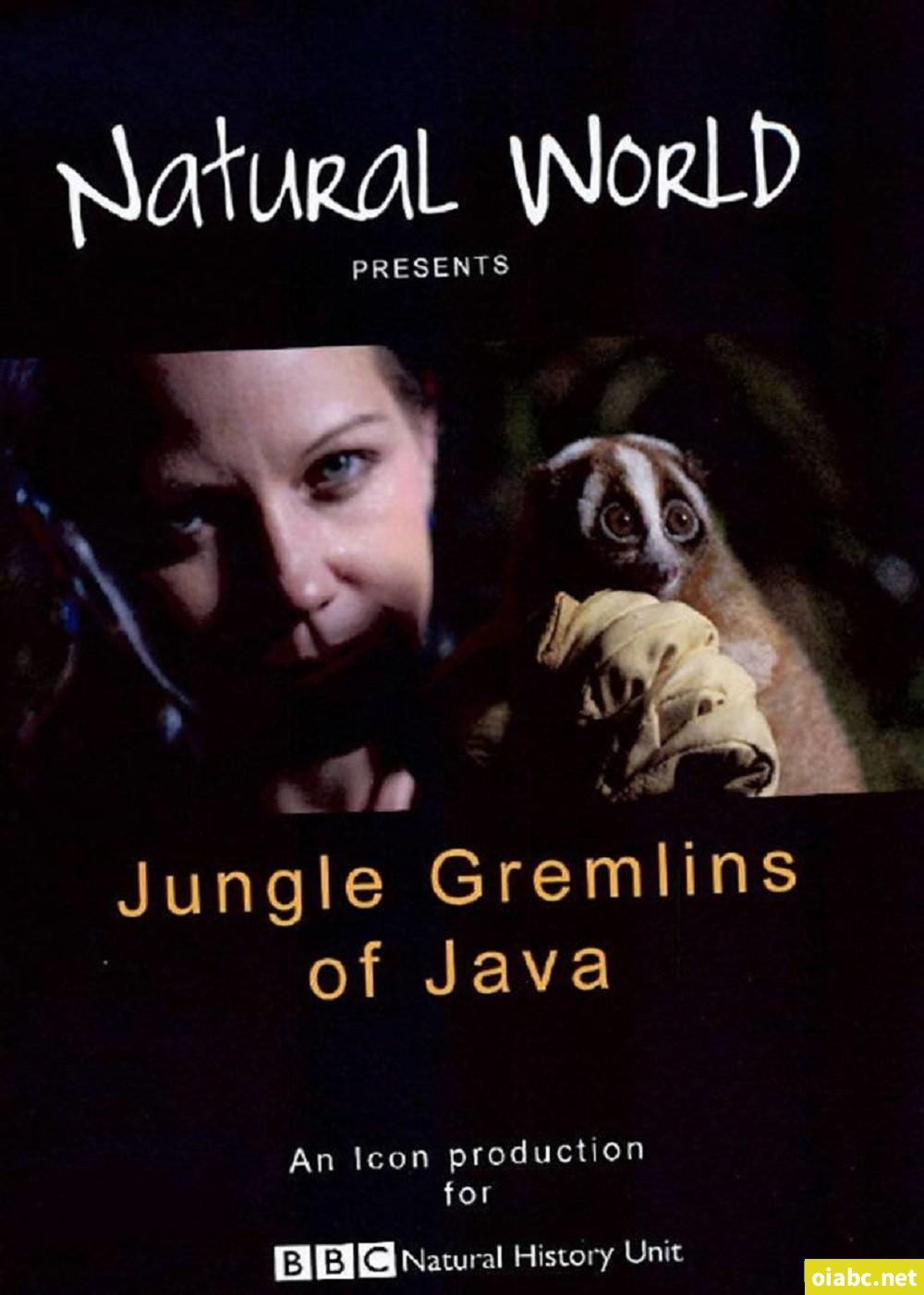 BBC 自然世界: 爪哇丛林精灵 2012 Jungle Gremlins of Java 英语中字高清720P视频MKV