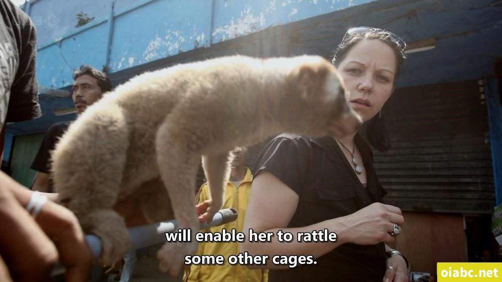 BBC 自然世界: 爪哇丛林精灵 2012 Jungle Gremlins of Java 英语中字高清720P视频MKV