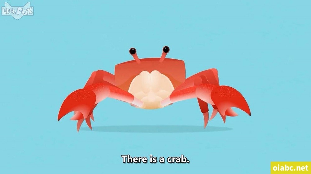 [Level 1] 猜猜我在哪儿 Where Am I 全20集 视频720P/单词表/绘本/音频网盘下载