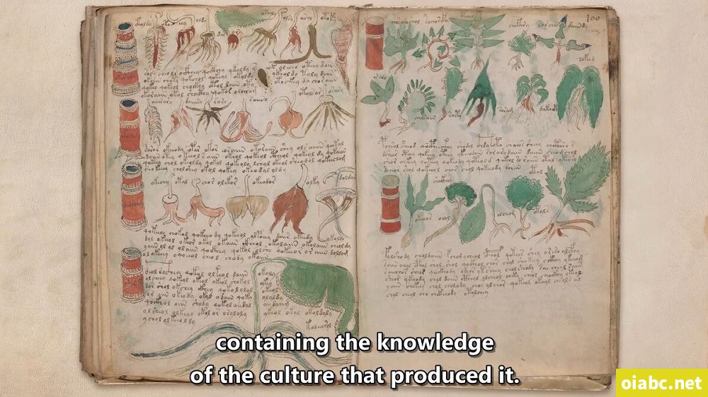 TED-Ed The World's People and Places 英文版163集高清1080P视频MP4百度网盘下载