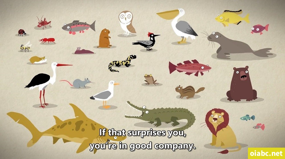 TED-Ed Awesome Nature 英文版全134集高清1080P视频MP4网盘下载