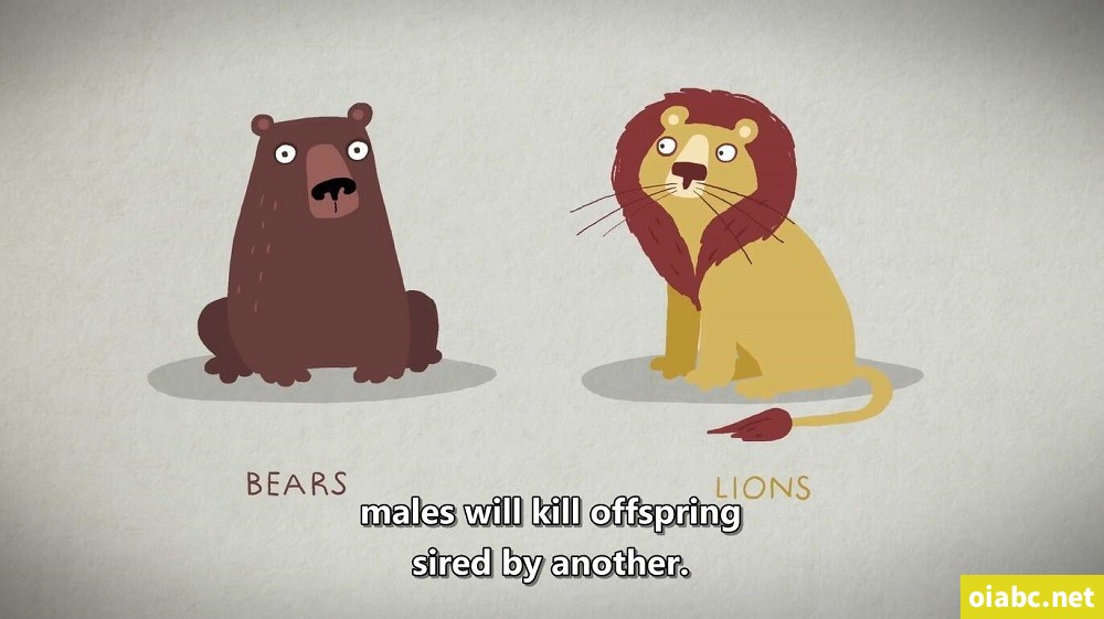 TED-Ed Awesome Nature 英文版全134集高清1080P视频MP4网盘下载