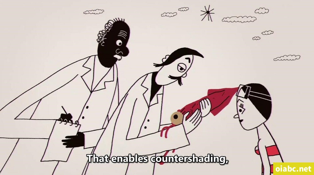 TED-Ed Discovering the Deep 英文版全33集高清1080P视频MP4网盘下载