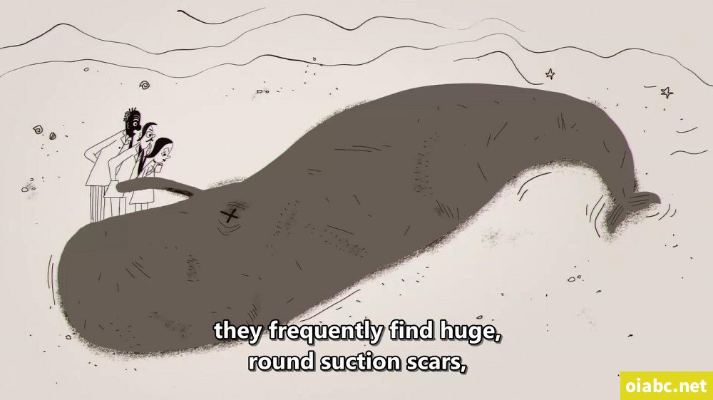 TED-Ed Discovering the Deep 英文版全33集高清1080P视频MP4网盘下载