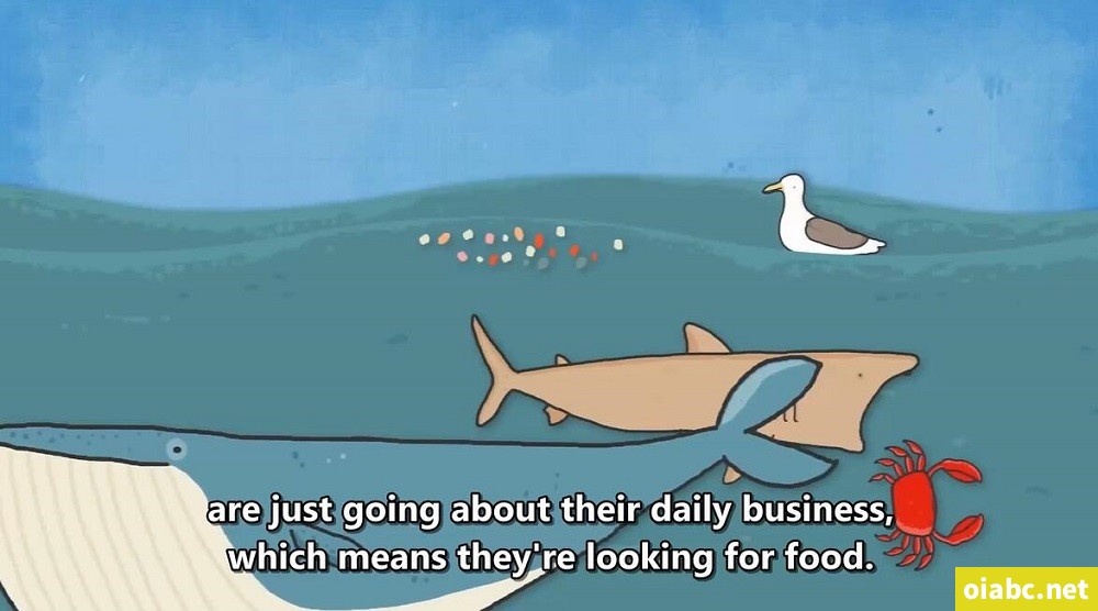 TED-Ed Discovering the Deep 英文版全33集高清1080P视频MP4网盘下载