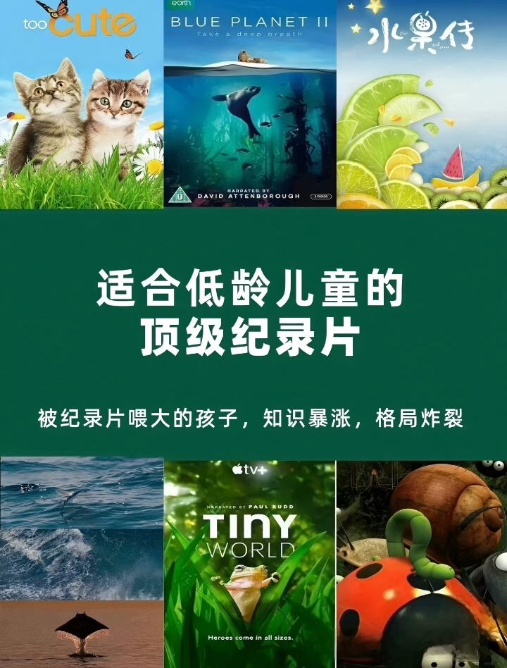 【免费共享3tb纪录片资源】有限的时间做有意义的事 能打开孩子格局的顶级纪录片