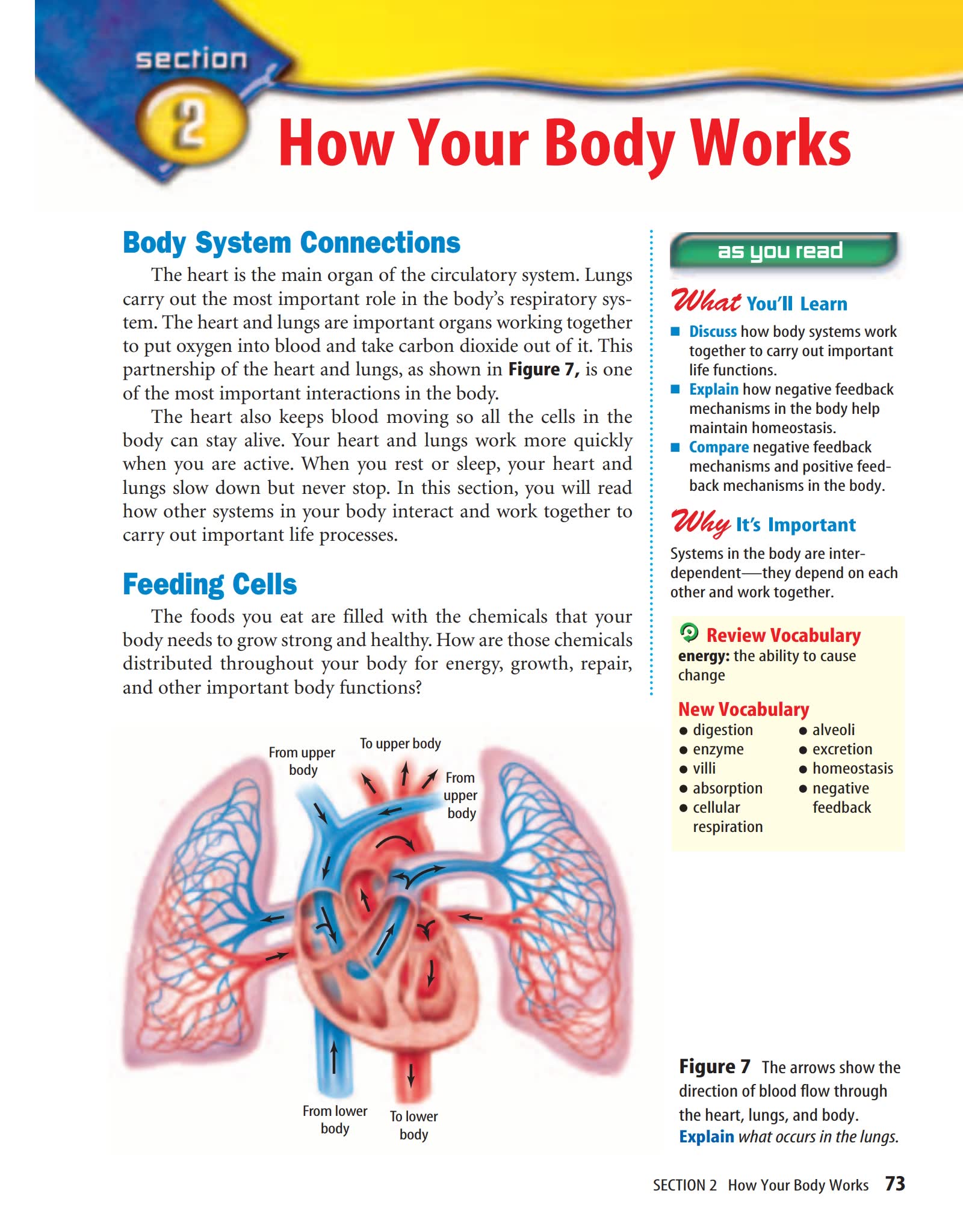 美国中学教材Glencoe系列(15门课程 初中 高中教材 SAT考试必看)