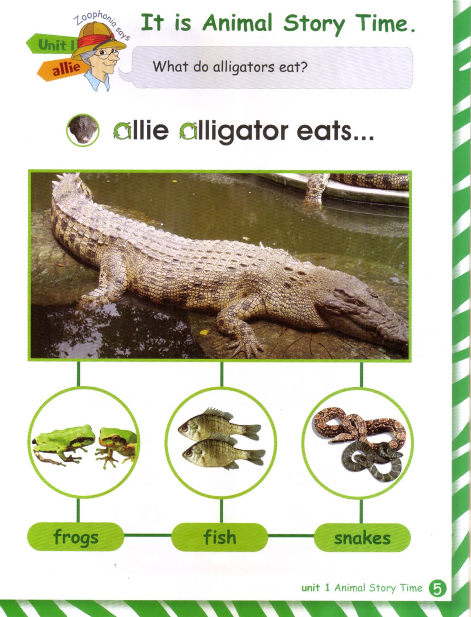 超级经典的自然拼读学习教材 Zoophonia’s Kids