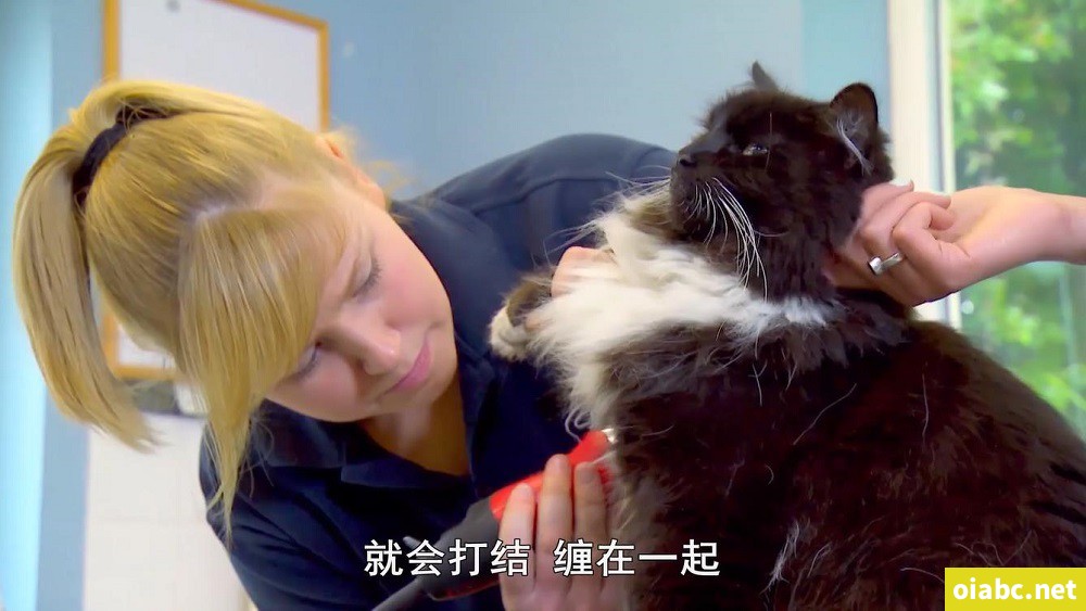 我的宠物和我 My Pet and Me 英文版第三季全20集英语中字高清1080P视频MP4下载