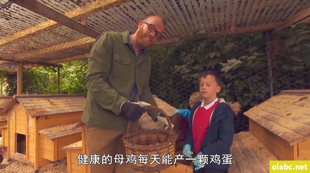 我的宠物和我 My Pet and Me 英文版第三季全20集英语中字高清1080P视频MP4下载