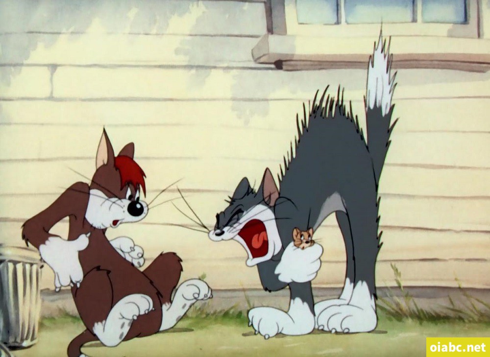 猫和老鼠黄金精选版 Tom and Jerry The Golden Collection Volume One 第一季全37集